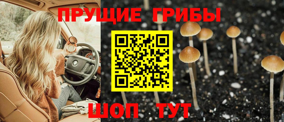 Сафоново  Псилоцибиновые грибы ЛСД  Вход с VPN 